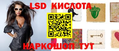 прущие грибы Сланцы