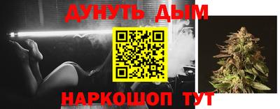 прущие грибы Сланцы