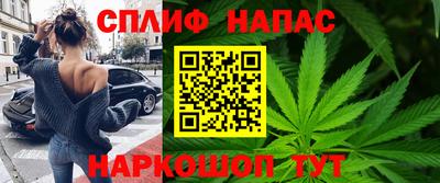 прущие грибы Сланцы