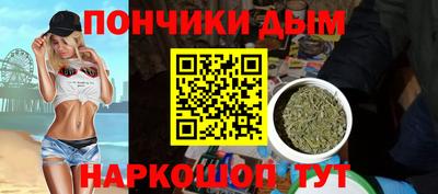 прущие грибы Сланцы