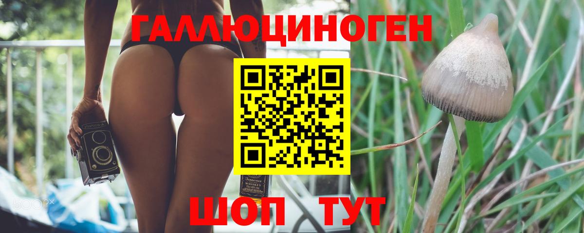 Псилоцибиновые грибы Cubensis  Вход с VPN  Балашиха 